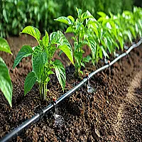 اصول طراحی ساده آبیاری قطره‌ای